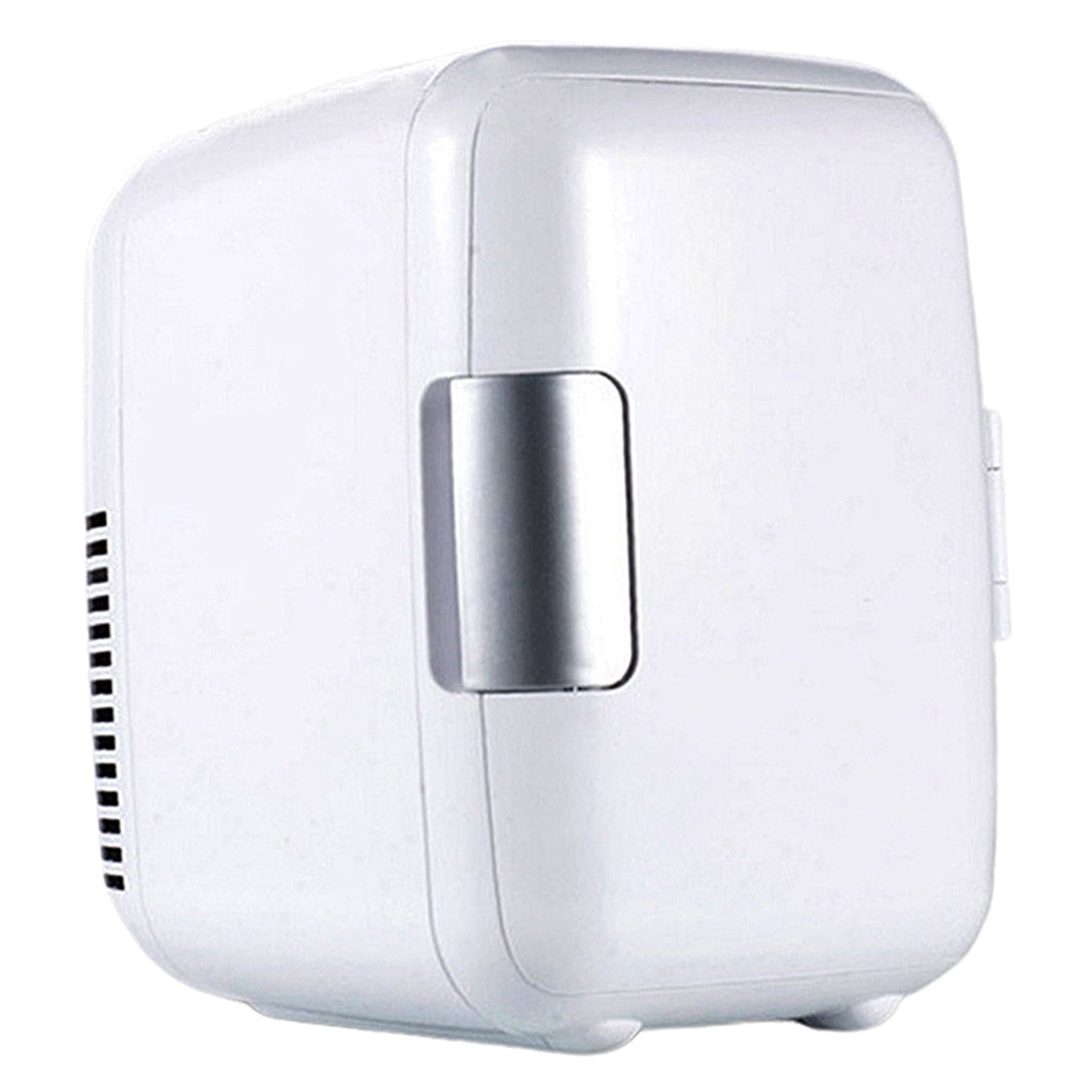 Mini Car Fridge