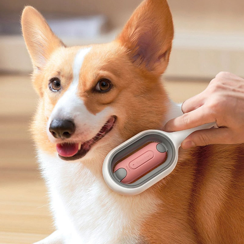 Pet Cleaning Brush