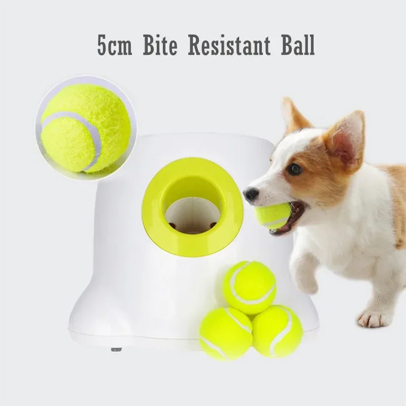 Automatic Ball Launcher